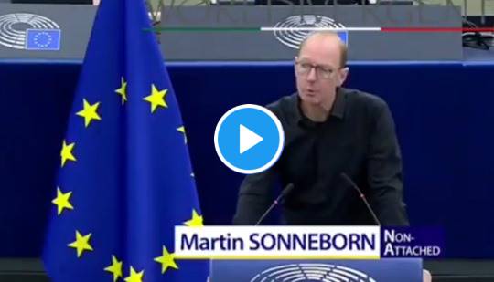 eurodeputato Sonneborn