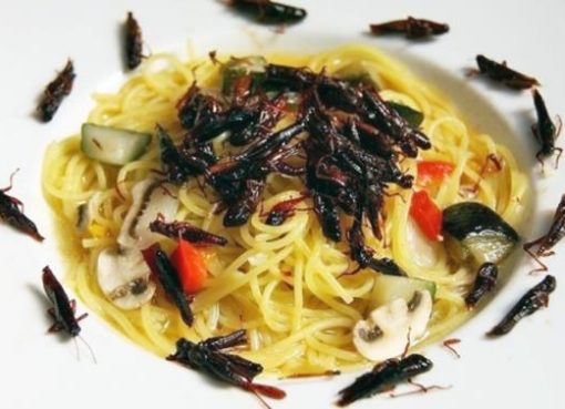 pasta con insetti