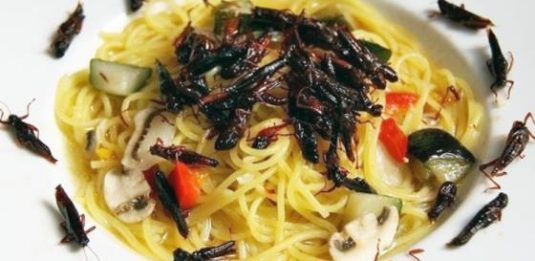 pasta con insetti