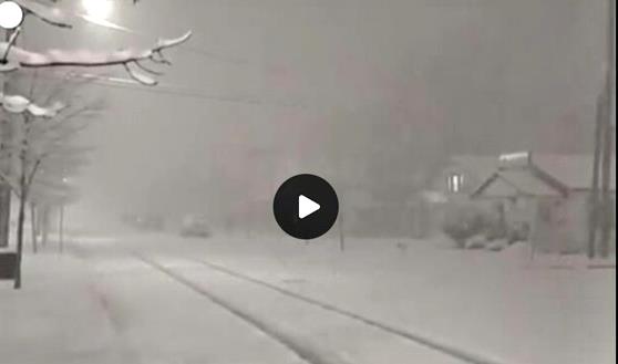 neve Usa