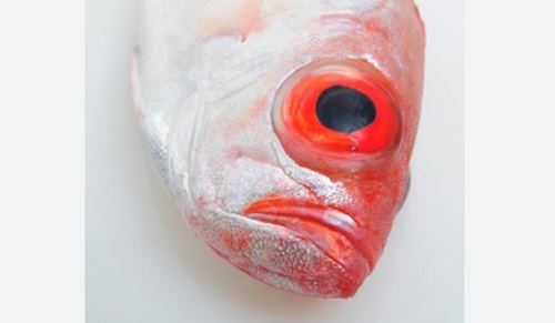 occhio di pesce