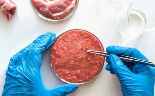 Carne sintetica, azienda francese chiede autorizzazione alla UE carne sintetica
