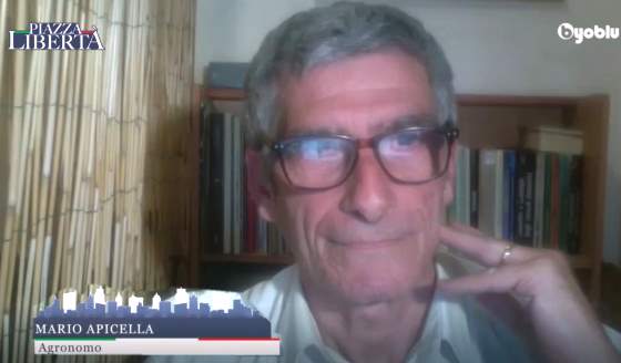 PIAZZA LIBERTA', intervento del dott. Mario Apicella