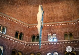 Coccodrillo di Cattelan