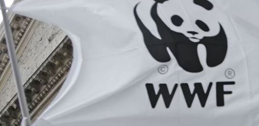 wwf