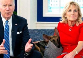 cane di Biden