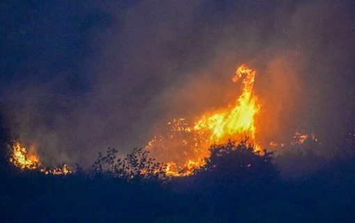 incendio Sicilia