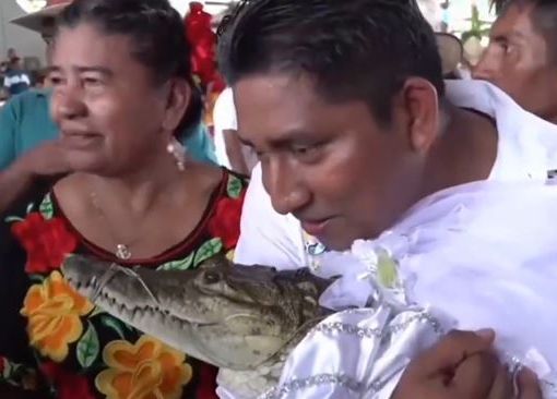 Messico sindaco sposa coccodrillo