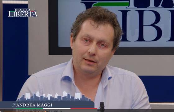 PIAZZA LIBERTA' testimonianza di Andrea Maggi, imprenditore