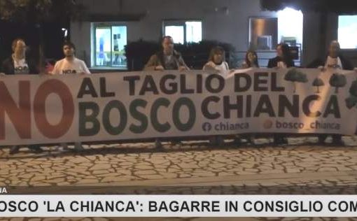 Taglio bosco Chianca