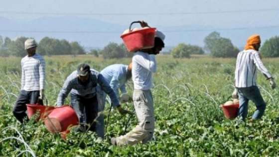 Caporalato in agricoltura