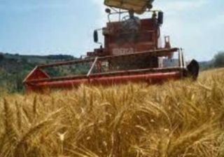 lavoro nei campi