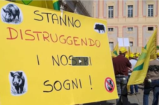agricoltori in piazza contro l'invasione dei cinghiali