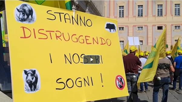 agricoltori in piazza contro l'invasione dei cinghiali