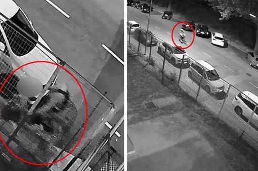 Aggressore sessuale seriale, 20enne straniero fermato a Ferrara Ferrara Aggressore sessuale seriale