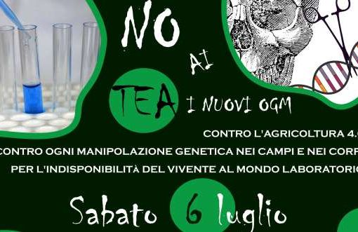 NO AI TEA. NO AI NUOVI OGM - Sabato 6 Luglio a Mezzana Bigli Pavia