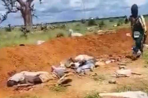 Strage jihadista in Burkina Faso: massacrate 150 persone Strage jihadista in Burkina Faso