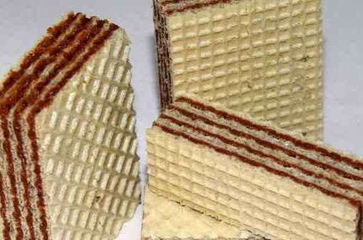 Carcassa di grosso topo nella confezione di wafer confezione di wafer