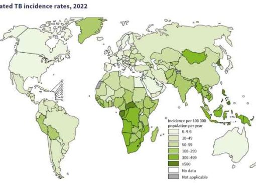 tubercolosi nel mondo