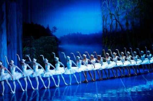Il lago dei cigni