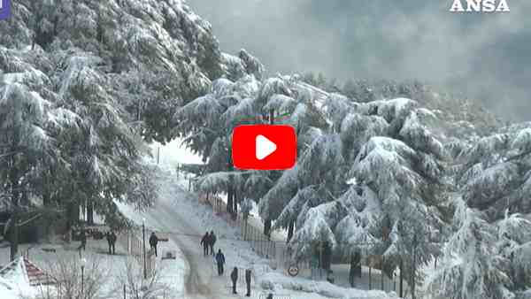 Forti nevicate in Algeria