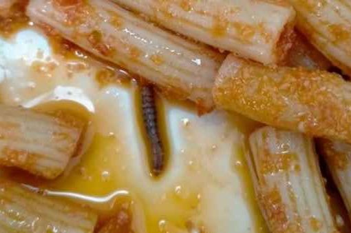 vermi nella pasta dei bambini