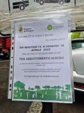 alberi Bologna viale Orisni
