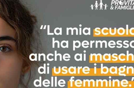 manifesti ProVita