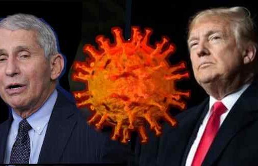 Fauci e Trump