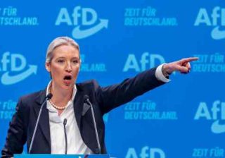 Afd Alice Weidel