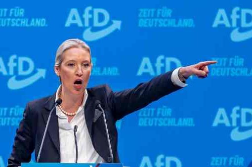 Afd Alice Weidel