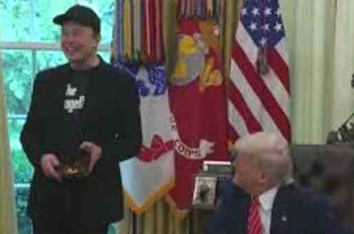 Musk e Trump