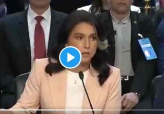 Tulsi Gabbard