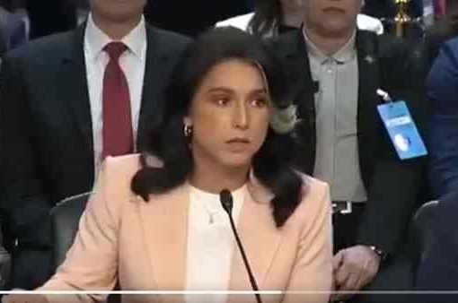 Tulsi Gabbard