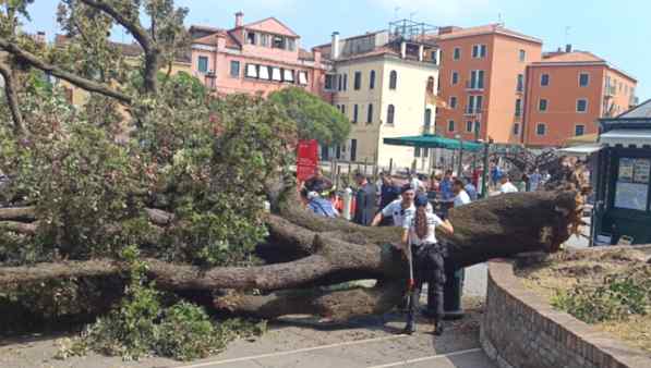 Venezia, grosso albero crolla sui passanti: 10 feriti