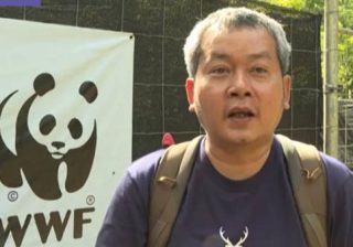 Thailandia wwf