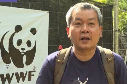 Thailandia wwf