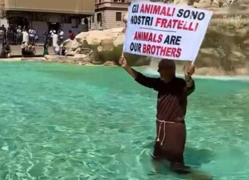 Protesta ambientalista, frate si lancia nella Fontana di Trevi grate nella Fontana di Trevi