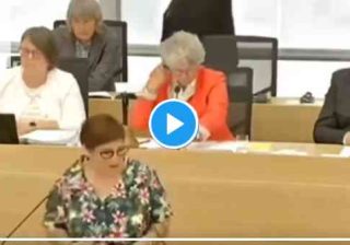 deputata regionale dei Verdi Susan Sziborra-Seidlitz