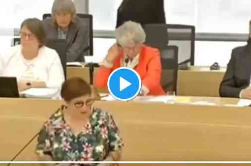 Germania, deputata regionale Verdi: ‘un uomo potrebbe portare avanti una gravidanza’ deputata regionale dei Verdi Susan Sziborra-Seidlitz