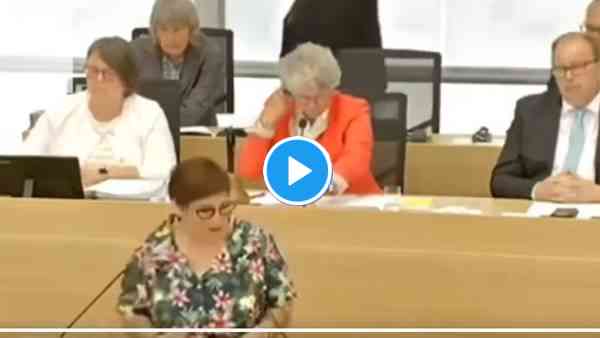 germania deputata regionale verdi 8216un uomo potrebbe portare avanti una gravidanza8217