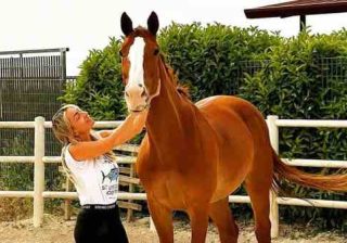 West Nile, cavallo muore dopo il vaccino