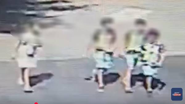 Donna travolta e uccisa a Milano: minori riaffidati alle famiglie Donna travolta e uccisa a Milano: minori riaffidati alle famiglie