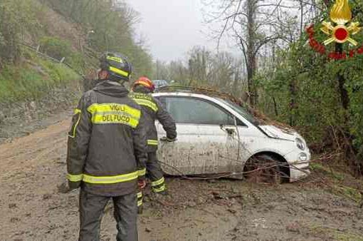 Nubifragio sulla Romagna: alberi caduti e allagamenti Nubifragio sulla Romagna