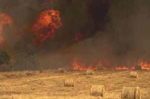Incendi in Spagna, arrestati 37 piromani Incendi in Spagna