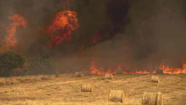 Incendi in Spagna, arrestati 37 piromani