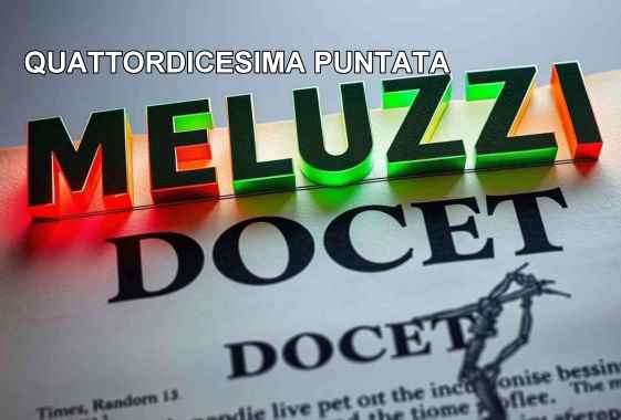MELUZZI DOCET, quattordicesima puntata