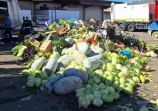 ortaggi mandati al macero a Firenze