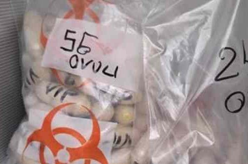 Aveva ingerito 120 ovuli di eroina, nigeriana arrestata a Orio al Serio ovuli di eroina
