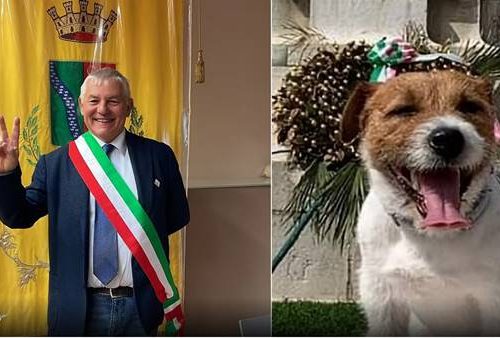 Veneto, sindaco eletto per pochi voti andati al suo cane: il Tar convalida Veneto, sindaco eletto per pochi voti andati al suo cane: il Tar convalida